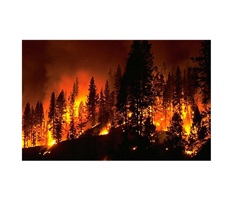 森林防火调度平台